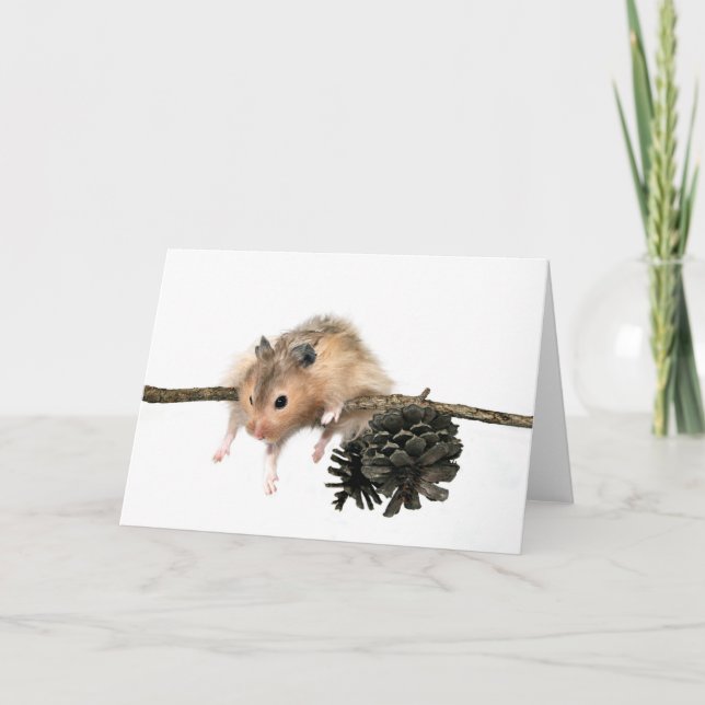 Accrochez-vous à la carte (Devant)