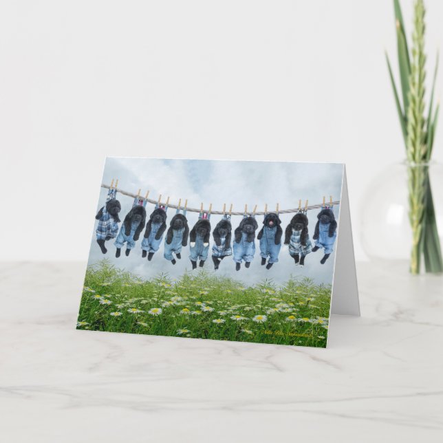 Accrochez-vous à la carte de voeux chiot (Devant)