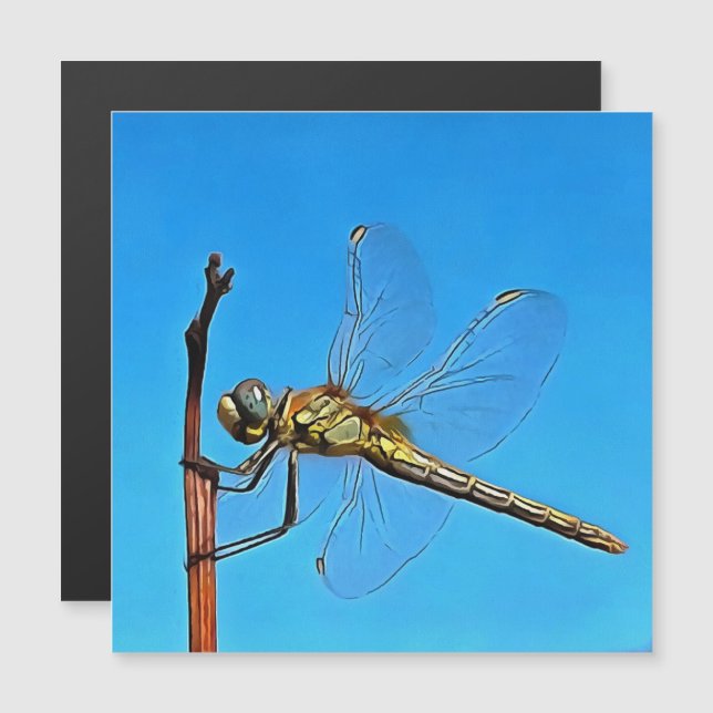Accrochez-Vous Là Dragonfly Artistique (Devant / Derrière)