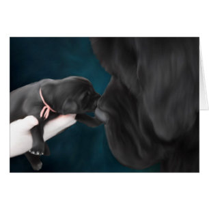 Accueil à la carte vierge du monde