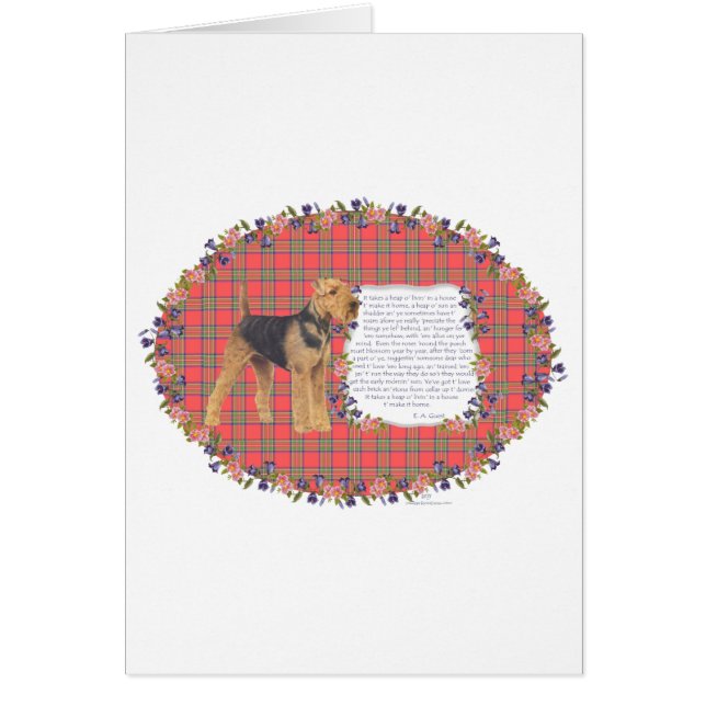 Accueil Airedale - Gallois - Lakeland (Devant)