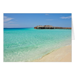 Accueil Chaleureux. Maldives