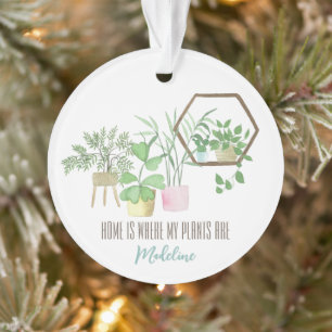 Accueil où mes Plantes sont aquarelle