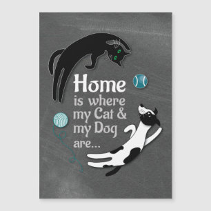 Accueil où sont mon chat et mon chien