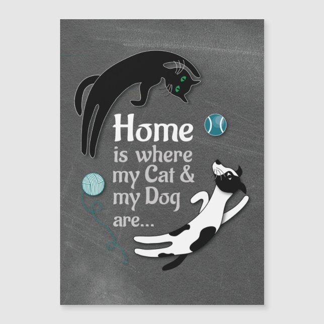 Accueil où sont mon chat et mon chien (Devant)