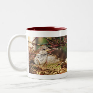 Accueil Pour Les Fêtes Mug