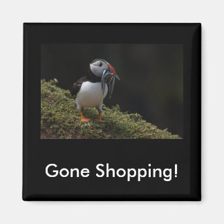 Acheter Aimant Fisher Puffin