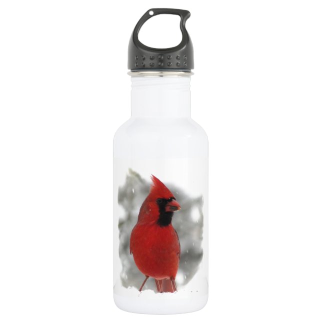 Acier Inoxydable Cardinal en Neige Bouteille d'eau 18oz (Devant)