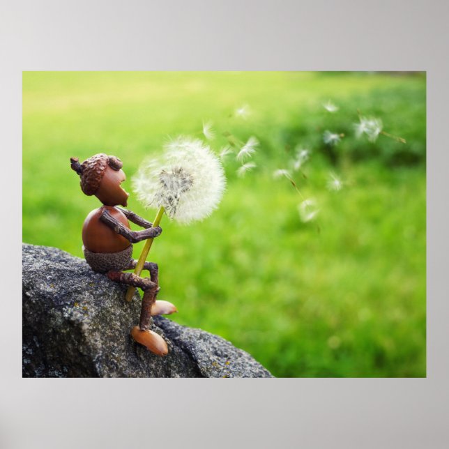 Acorn elf blows into dandelion poster (Devant)