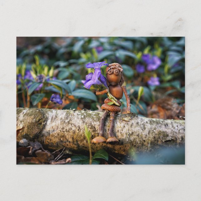 Acorn elf fille avec des fleurs carte postale (Devant)