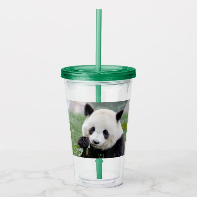 Acrylique Verre en acrylique. Panda géant photo, panda gente (Devant)