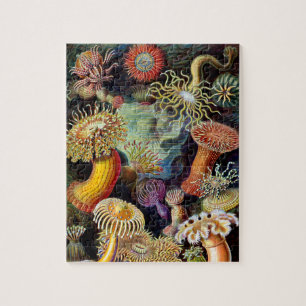 Actiniae par Ernst Haeckel Jigsaw Puzzle