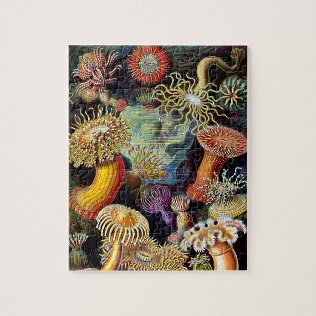 Actiniae par Ernst Haeckel Jigsaw Puzzle (Vertical)