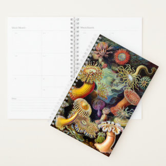 Actiniae par Ernst Haeckel Planner