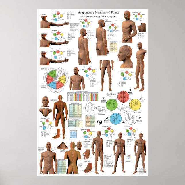 Acupuncture Meridian Points and Pathways Poster (Devant)