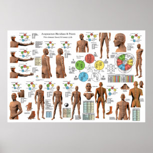 Acupuncture Meridian Poster des emplacements de po