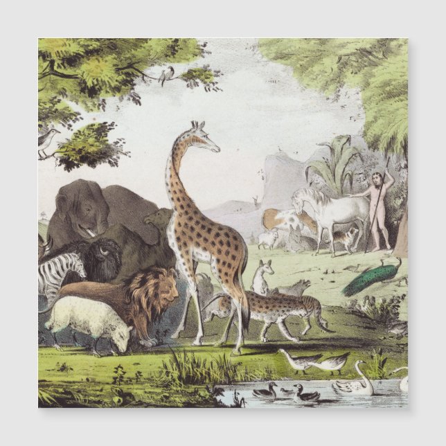 Adam nomme les créatures (Devant)