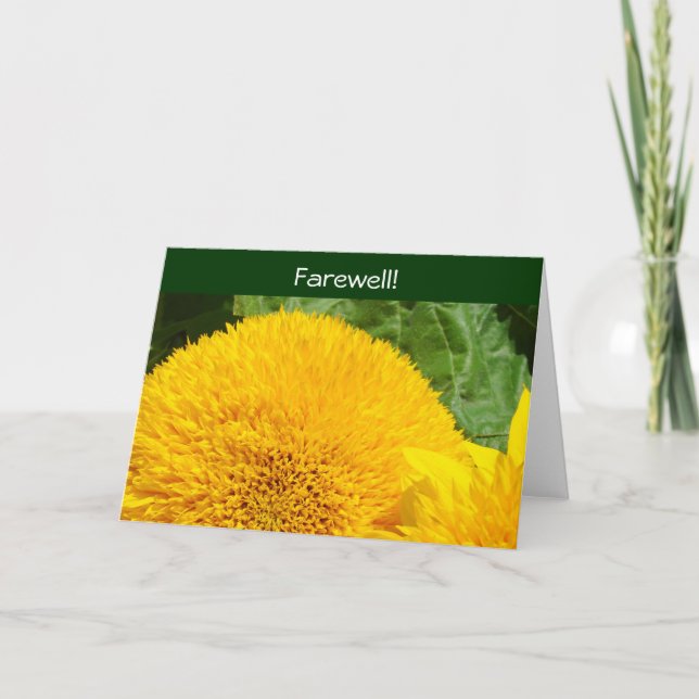 Adieu ! Cartes Au revoir Nous allons vous manquer  (Devant)
