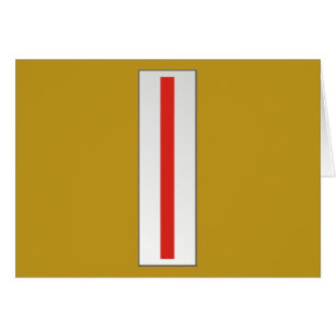 Adjudant-chef 5 de l'USMC CWO5 W-5