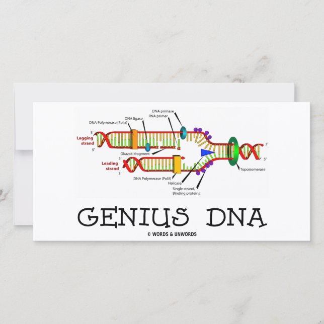 ADN génial (Humour de réplication de l'ADN) (Devant)