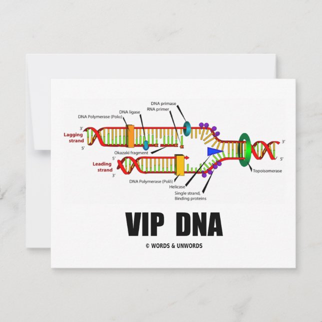 ADN VIP (Humour de réplication de l'ADN) (Devant)