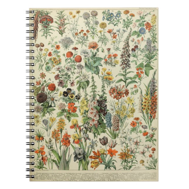 Adolphe Fleurs Millot Motif-A Carnet (Devant)