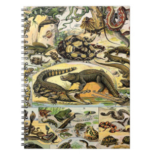 Adolphe Millot Reptiles 1 Carnet