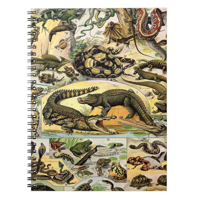 Adolphe Millot Reptiles 1 Carnet (Devant)