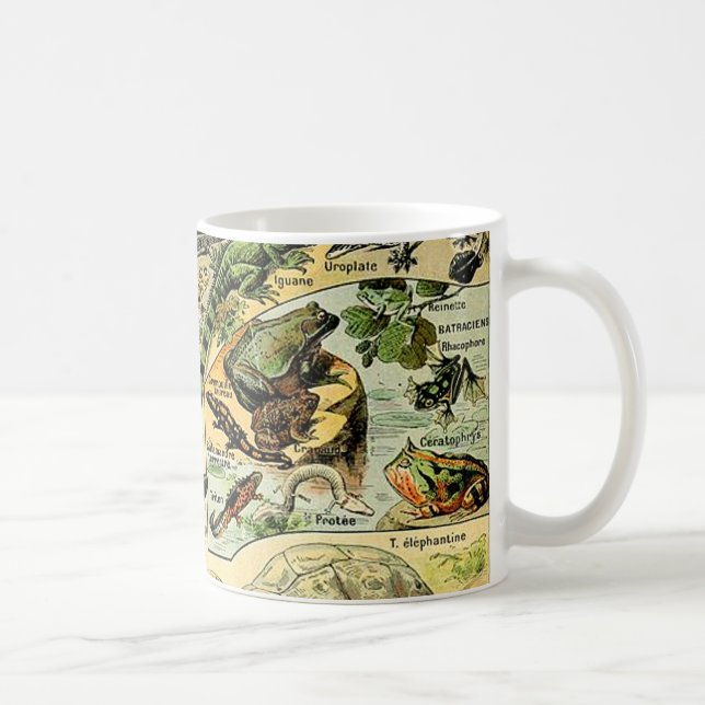 Adolphe Millot Reptiles 2 Café Mug (Droite)