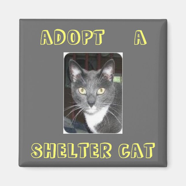 Adopter Un Aimant De Chat (Devant)