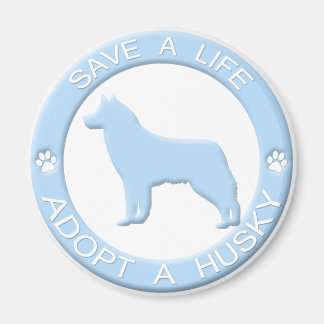 Adopter un aimant Husky