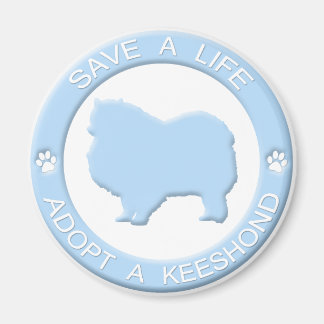 Adopter un aimant Keeshond