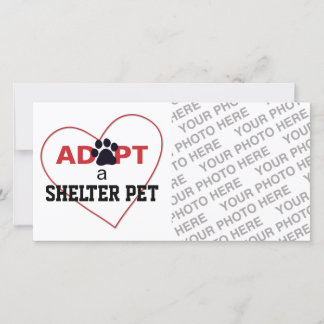 Adopter un animal domestique