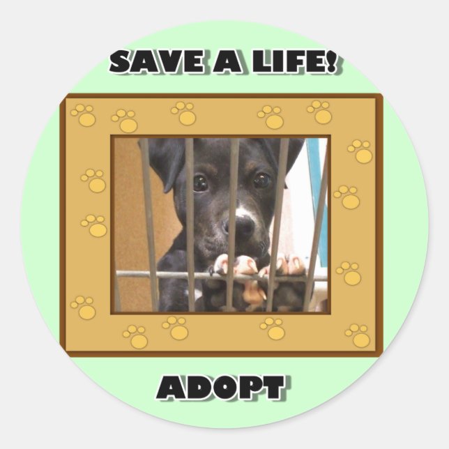Adopter un autocollant de chiot (Devant)