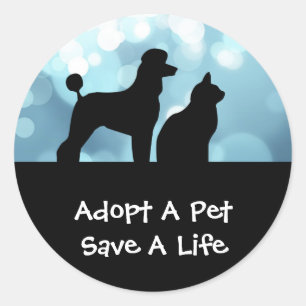 Adopter Un Stickers Pour Animaux De Compagnie