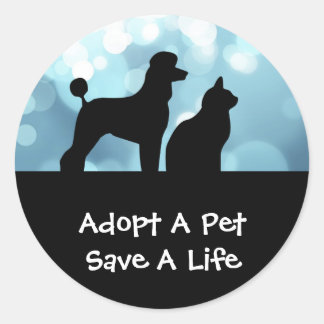 Adopter Un Stickers Pour Animaux De Compagnie