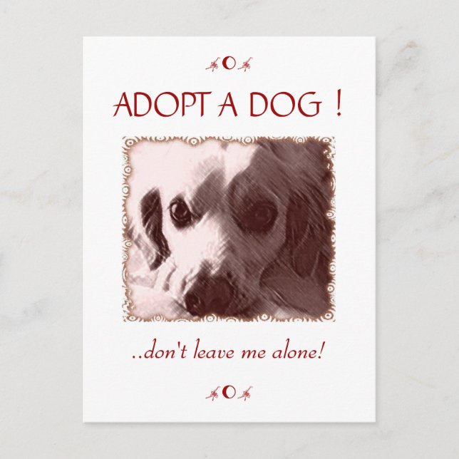 Adopter une carte postale de chien (Devant)