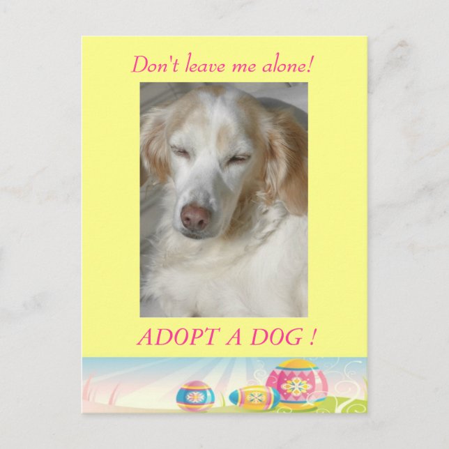 Adopter une carte postale de Pâques de Chien (Devant)