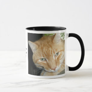 Adopter une Mug de chat "Secourt"