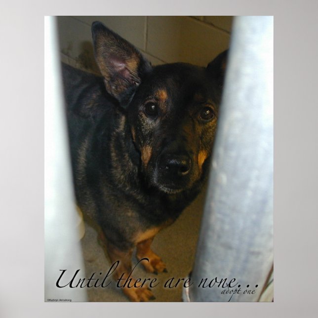 Adoptez-en un ! Affiche (Devant)