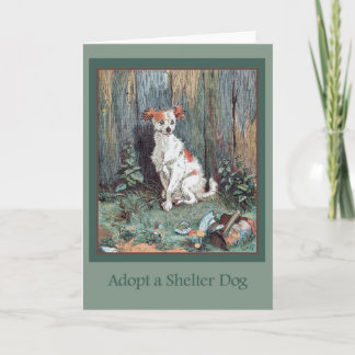 Adoptez une carte de chien d'abri