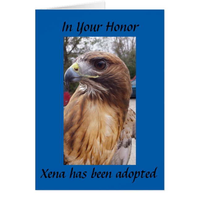 Adoptez Xena le faucon à queue rousse - Votre Honn (Devant)