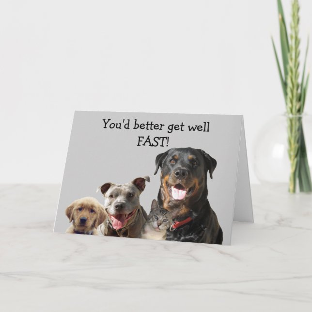 Adorable Animaux Obtenir Bonne Carte (Devant)