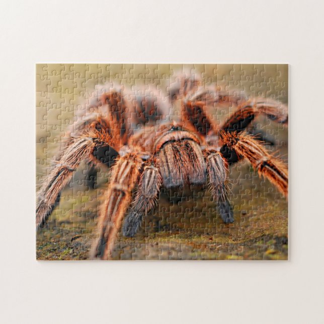 Adorable Arachnid Tarantula Spider Photo Puzzle (Horizontal)