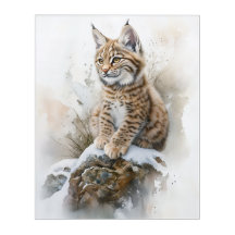 Adorable Baby Lynx - Aquarelle Acrylique Art