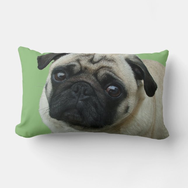 Adorable Carlin américain MoJo Lumbar Coussins (Recto)