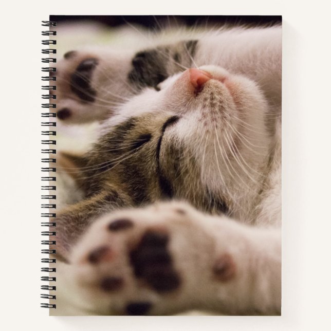 Adorable chaton à couchage carnet spirale (Devant)