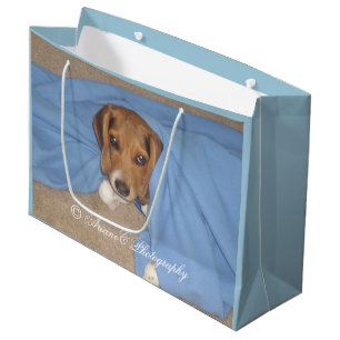 Adorable chiot Beagle grand sac cadeau