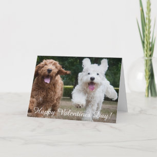 Adorable Cockapo Chipies   Carte de jour Valentine
