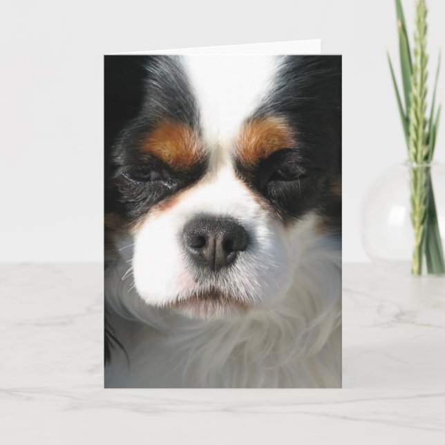 Adorable King Charles Spaniel Cartes de voeux (Devant)